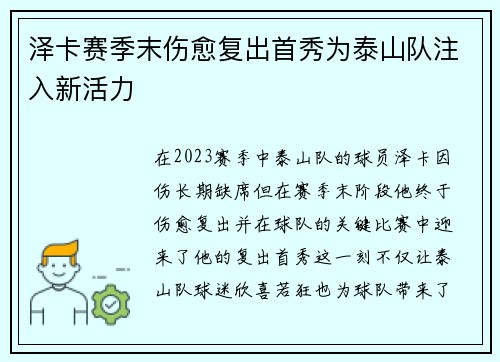 泽卡赛季末伤愈复出首秀为泰山队注入新活力